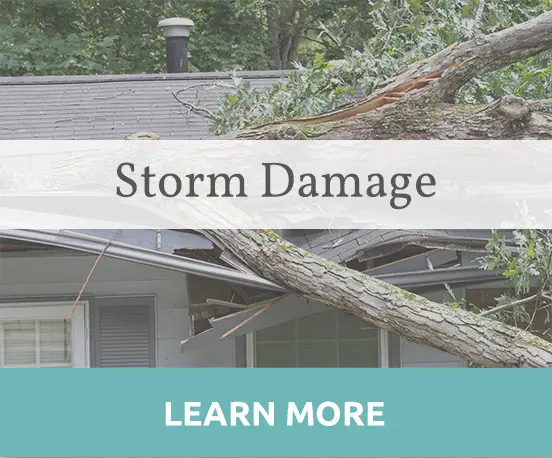 Storm_damage